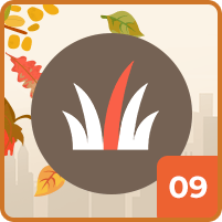 10 Crucial Fall Maintenance Tasks To Prepare Your Home for the Colder Months