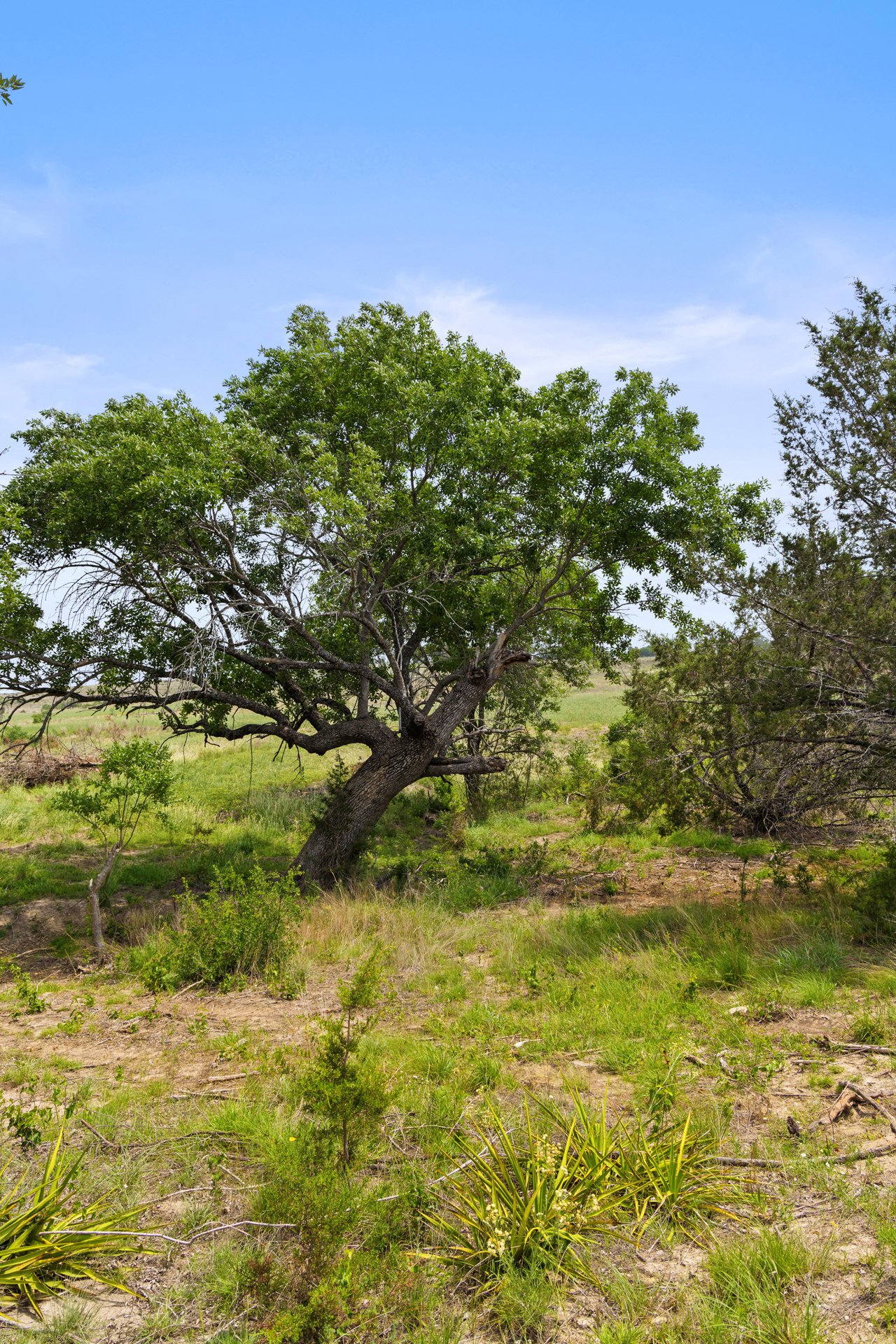 94 Acres in Burnet County