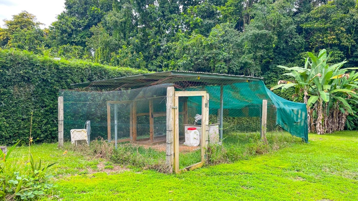 Contemporary Ojochal Retreat with Two Acres, Pool & Stream Access