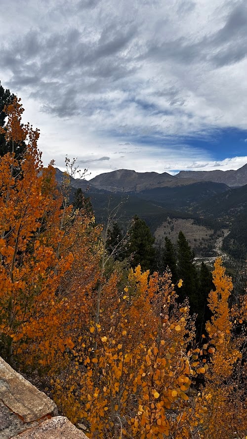 Where the Road Meets the Sky: Driving Trail Ridge Road