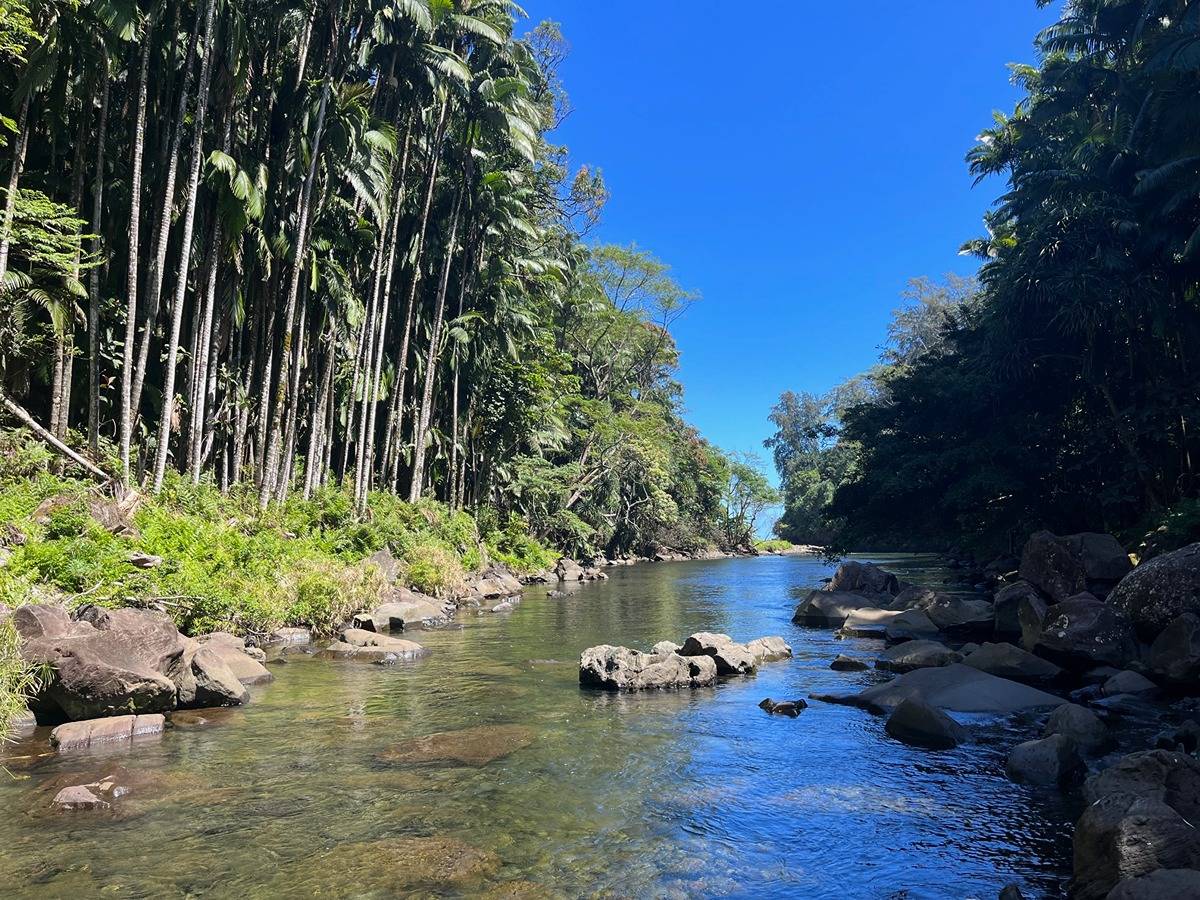 HAMAKUA COAST BIG ISLAND - OCEANFRONT 40 ACRES - WATERFALLS