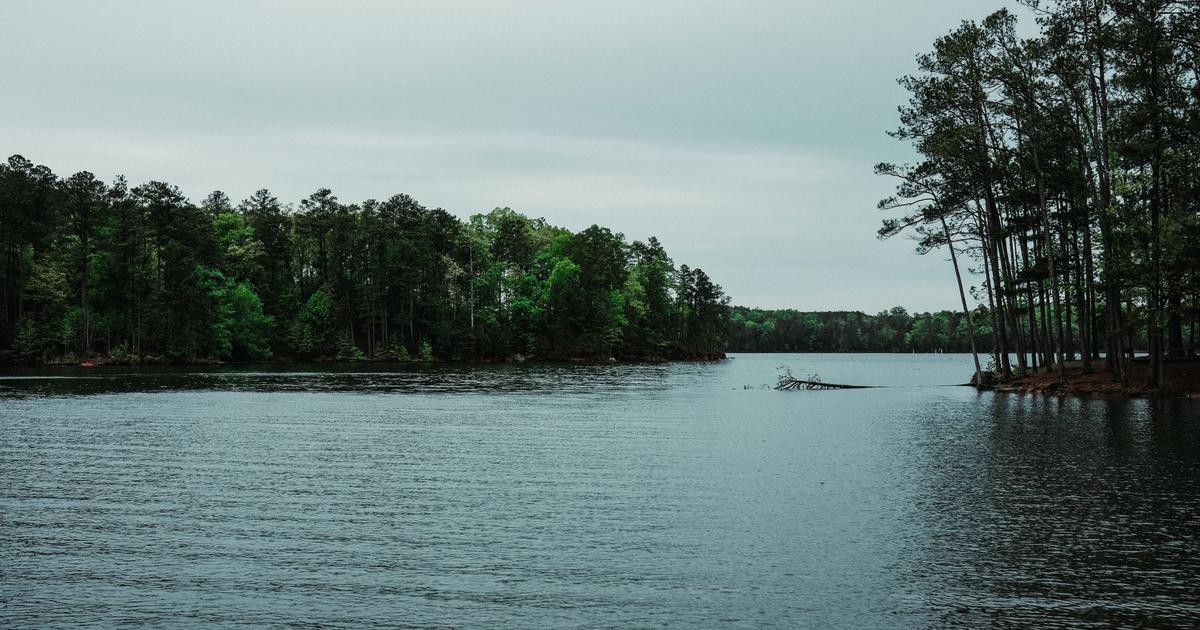 A calm pine-lined reservoir cove under an overcast sky, with a wooded point reaching into gray-green water