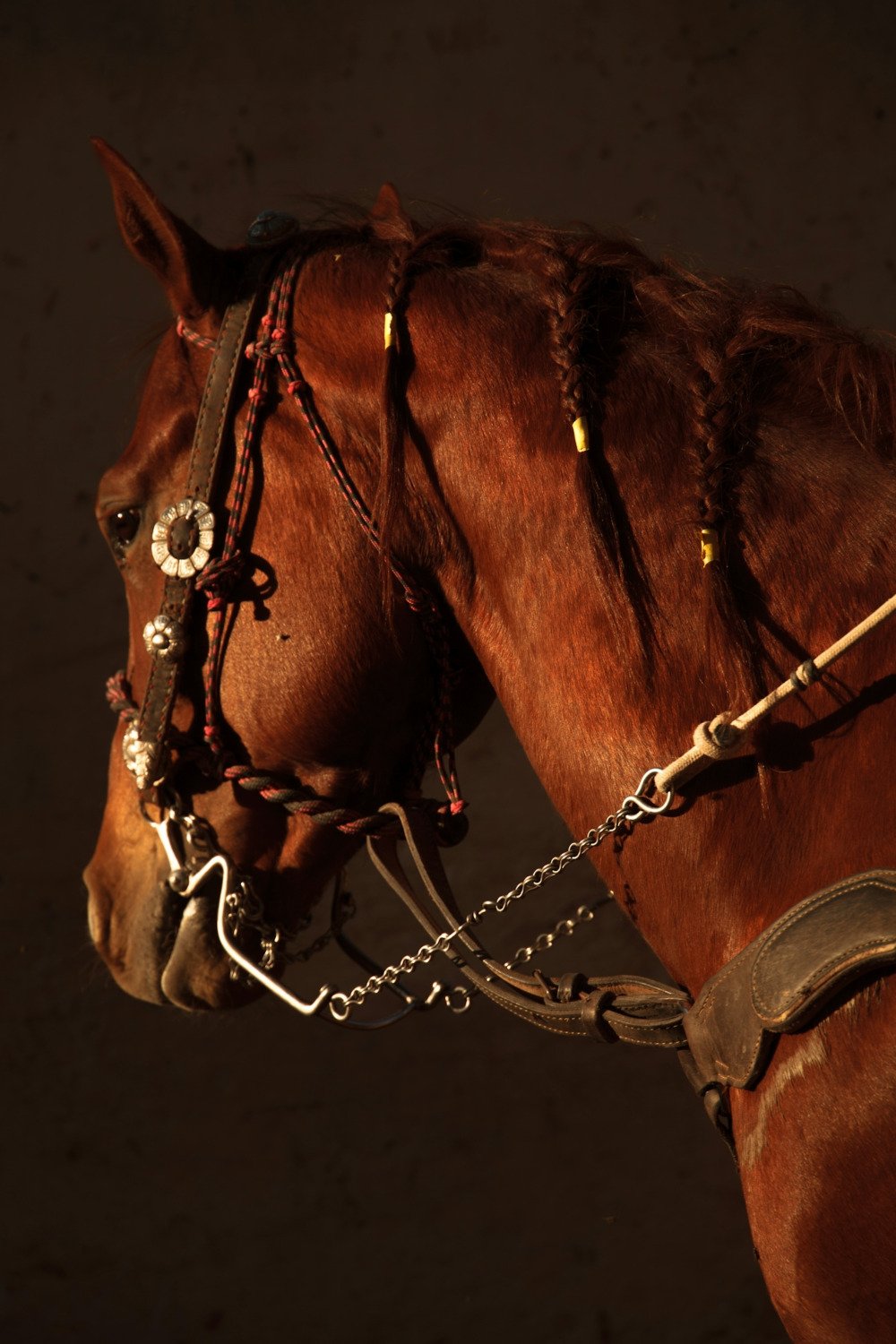 Chestnut horse in a decorated bridle, its mane braided with yellow bands.
