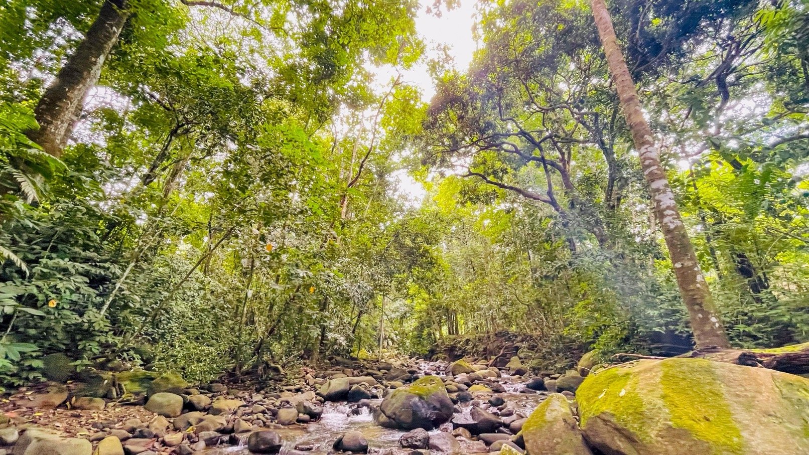 COSTA RICA LAND FOR SALE | LARGE FLAT PRIVATE PROPERTY WITH MOUNTAIN VIEWS, RIVER & FRUIT TREES