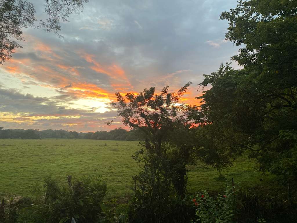 Breeze, Trees, and Monkeys - Your Affordable Costa Rican Haven