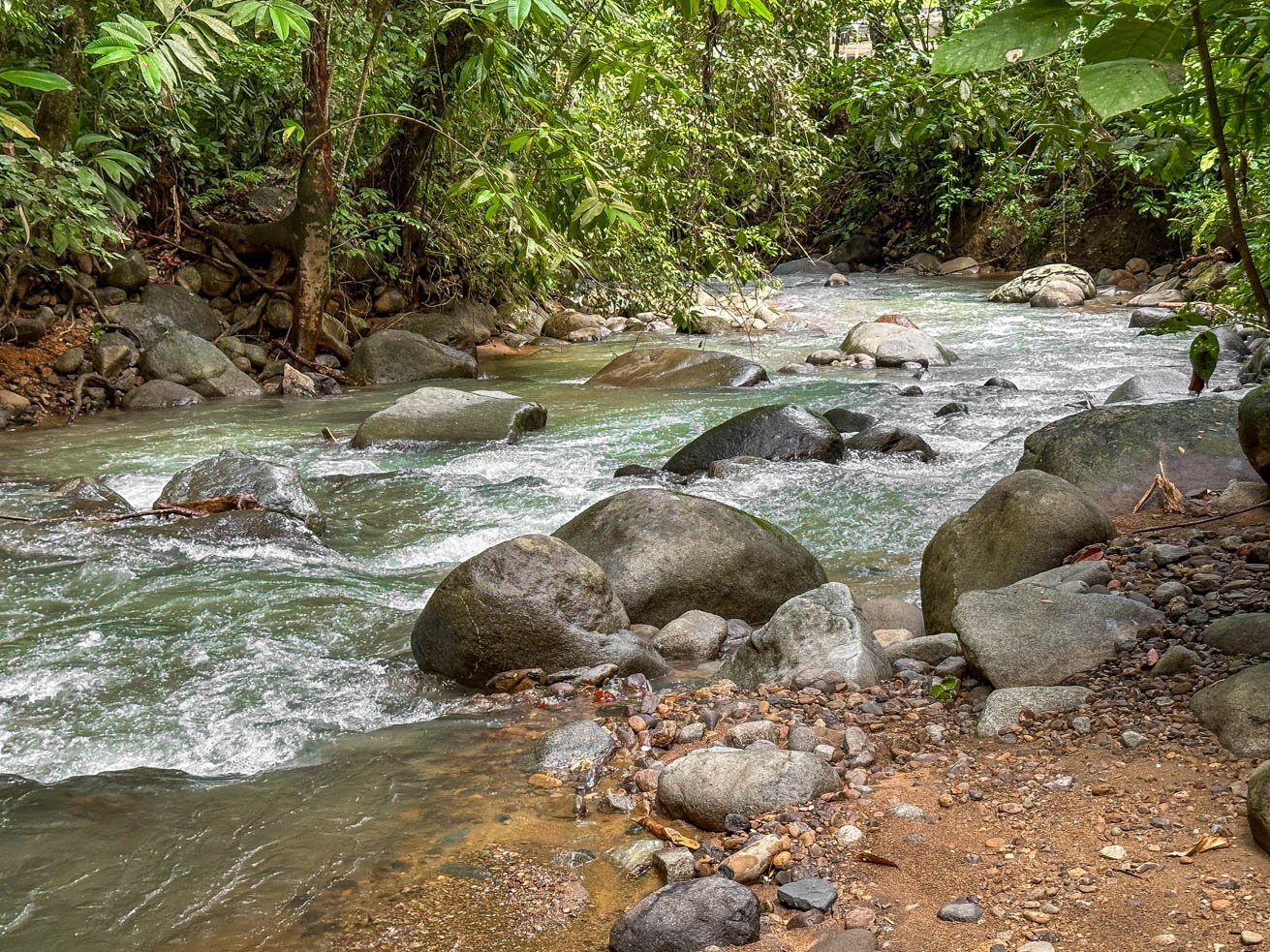 Rainforest Home with River, Jungle Trails & Pool in Ojochal