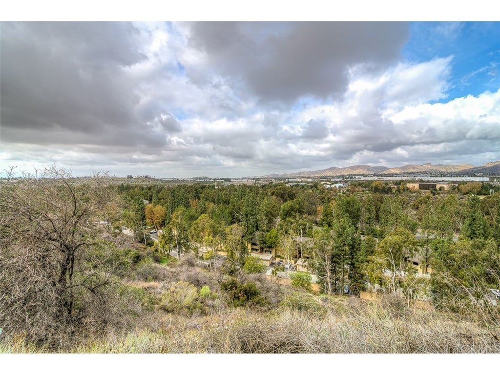 27872 Camphor Tree Ln