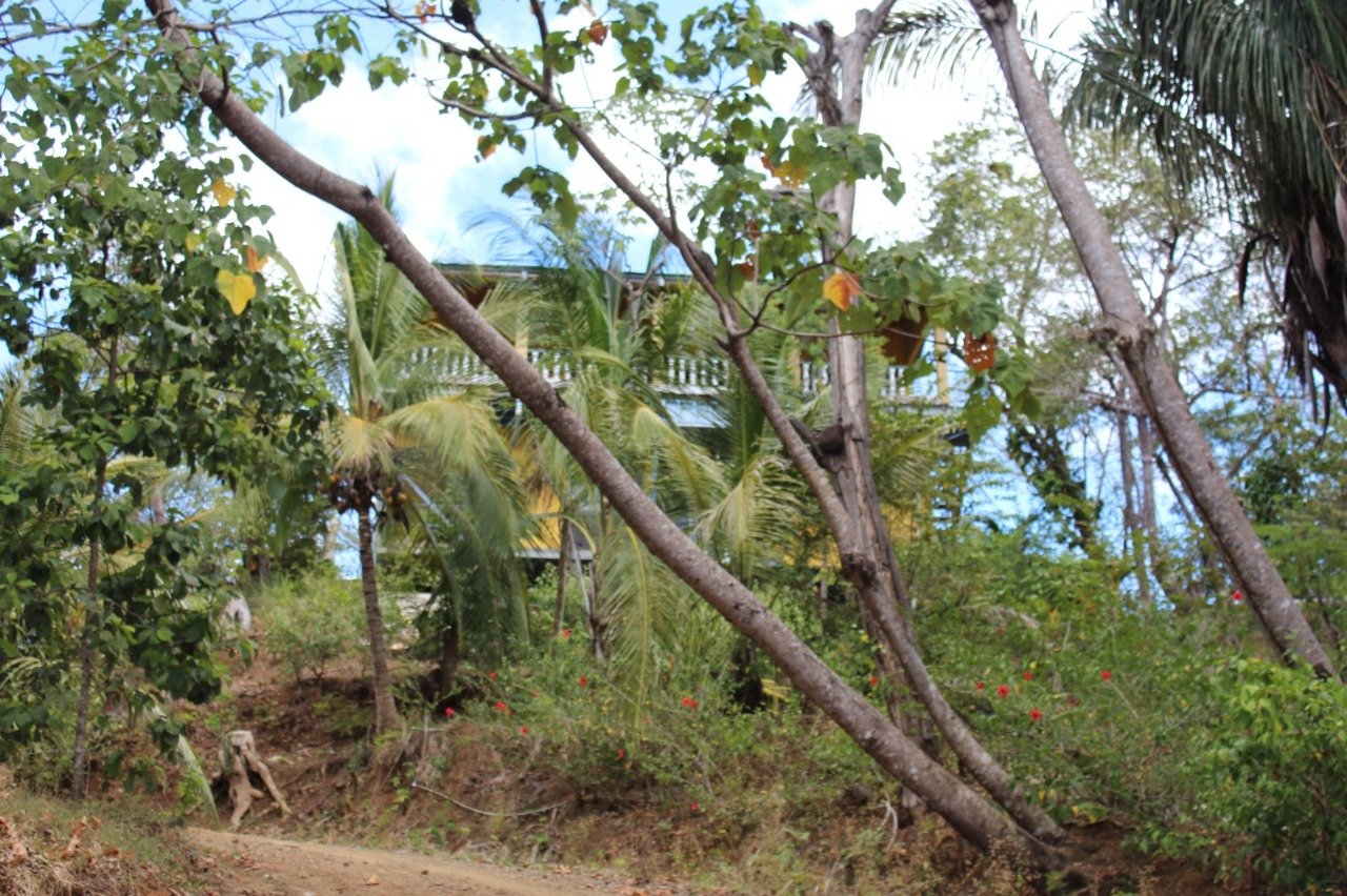 San Juanillo Farm | Large-Scale Ocean View Land with Investment Potential