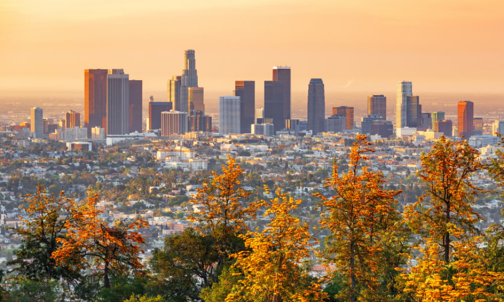 Downtown Los Angeles skyline beyond trees with autumn-colored leaves.