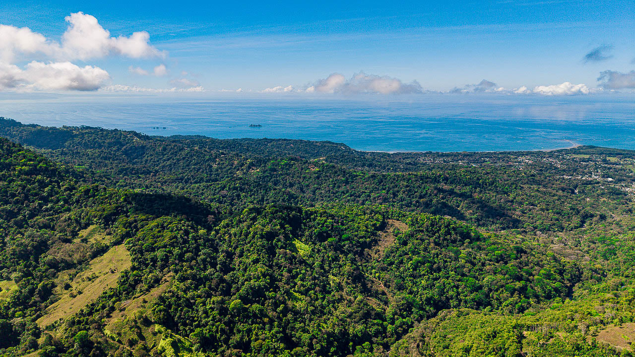 Whale Tail Views Luxury Waterfall Farm