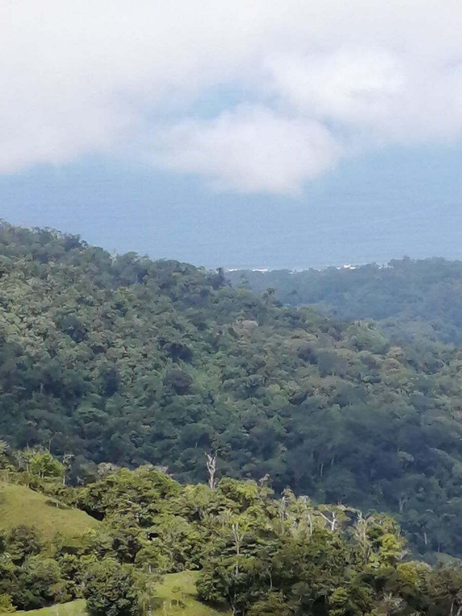 Ocean View Waterfall Land, Dominical, Puntarenas