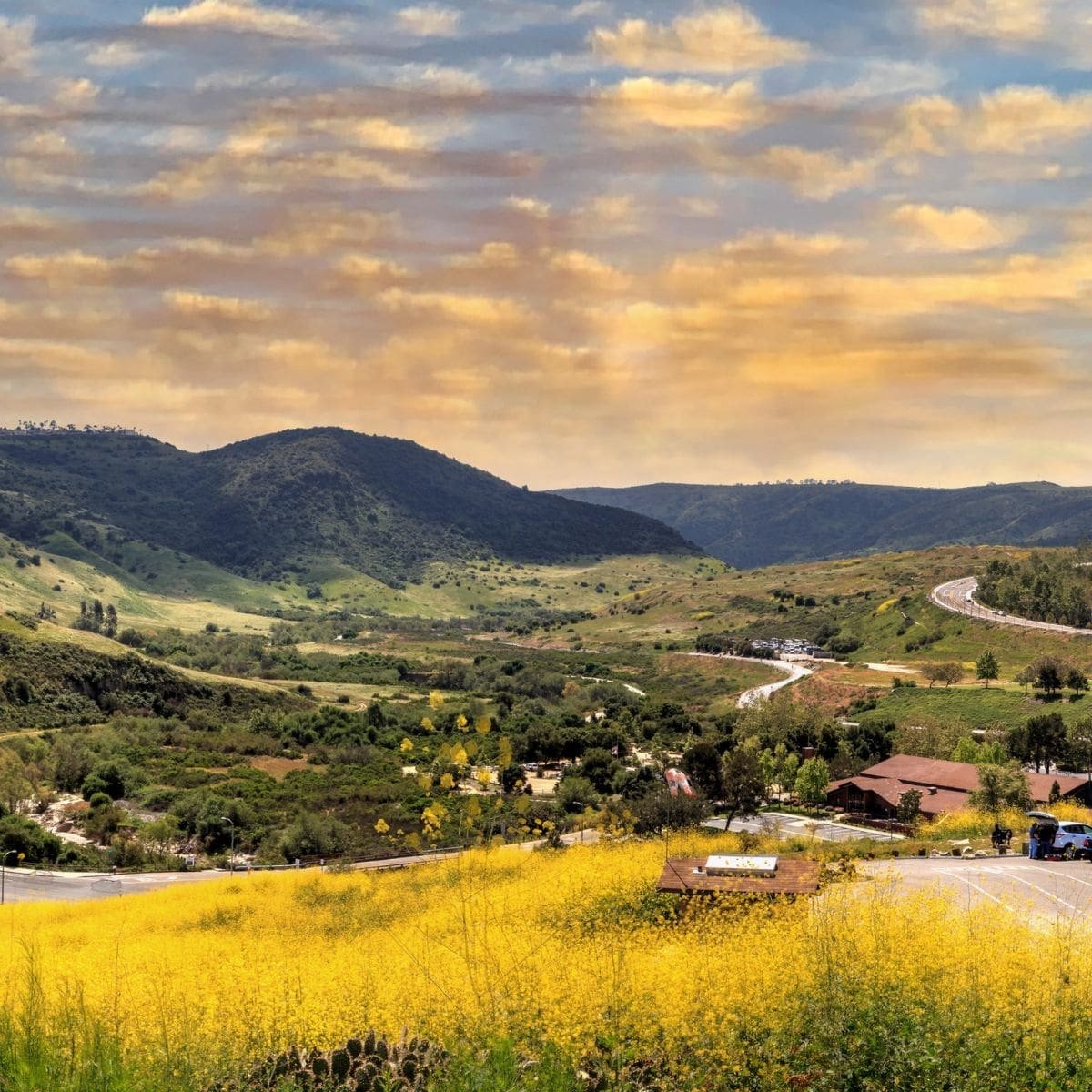 Aliso Viejo