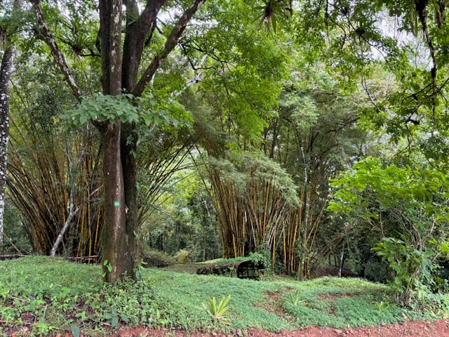 17.85 ACRES – Stunning Large Land With 2 Waterfalls Near Dominical Beach!!!