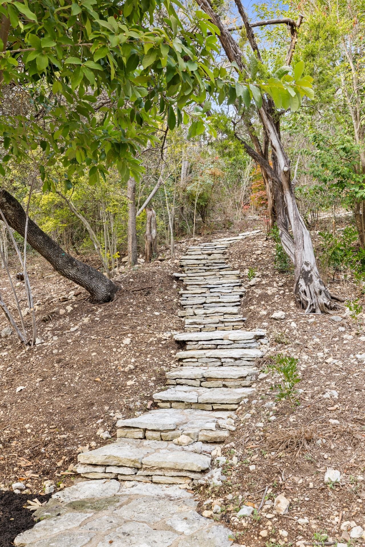 6109 Mountain Villa Circle | Taniguchi Modern Home in Northwest Hills