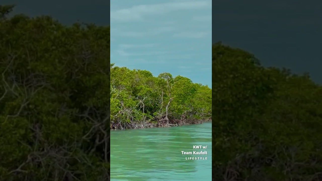 Boating through Islands on Crystal clear water | Key West, Fl