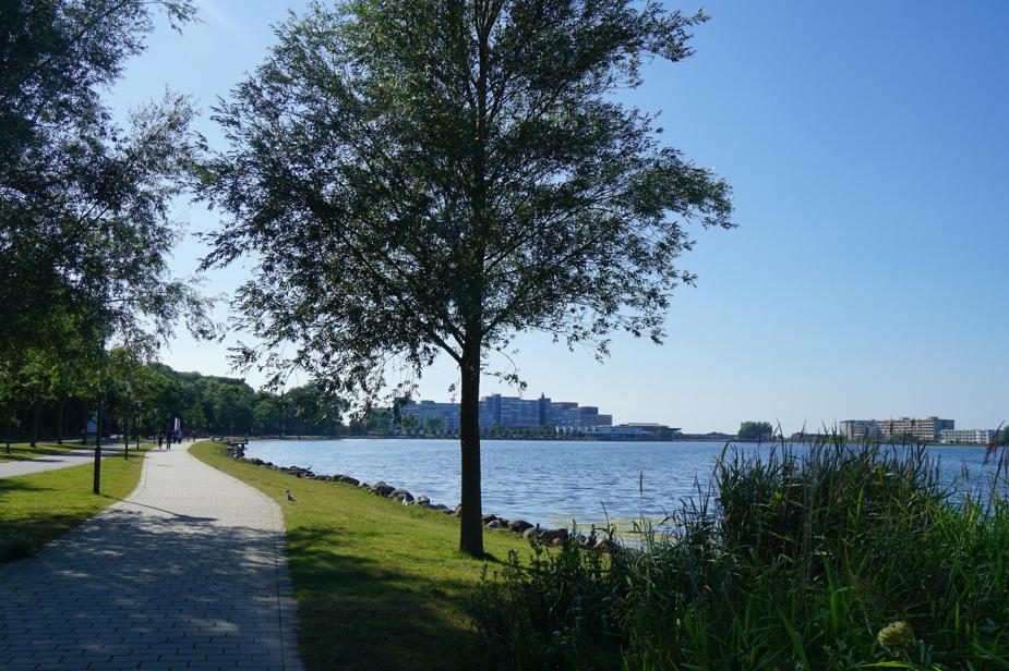 Best Ways to Explore Toronto’s Waterfront This Summer