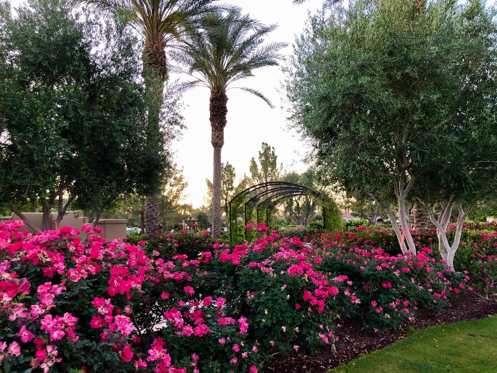 Toscana Country Club