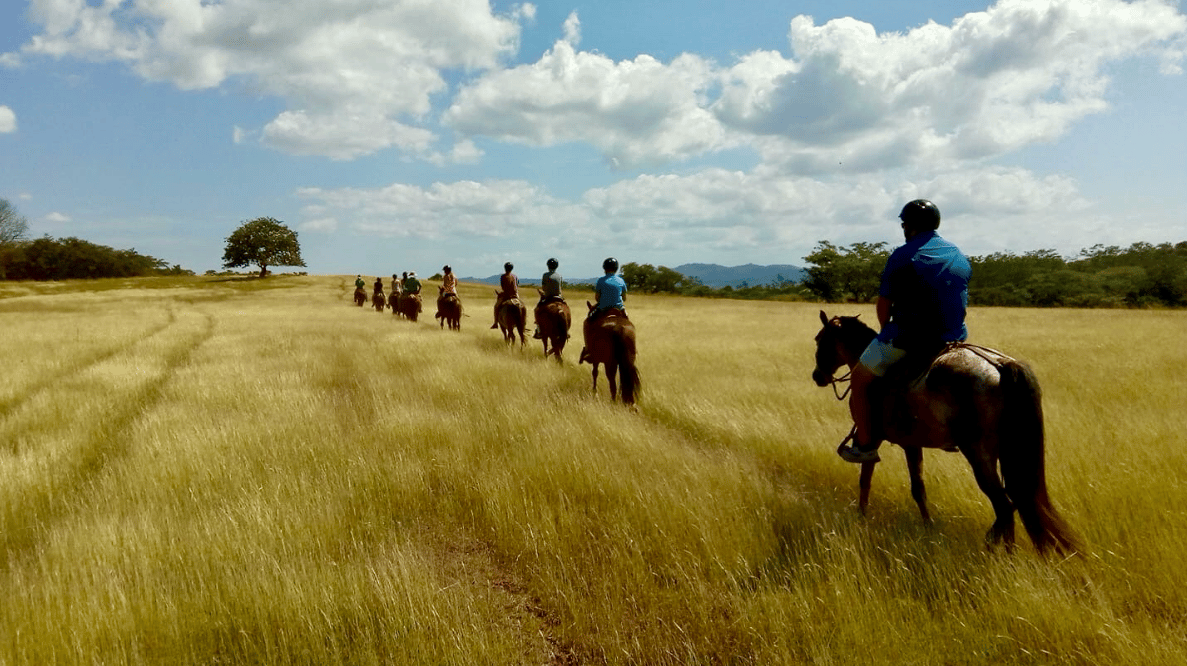 El Jaguar – Phase B: La Sabana | Inspired by Nature, Designed for Connection in the Heart of Hacienda Pinilla