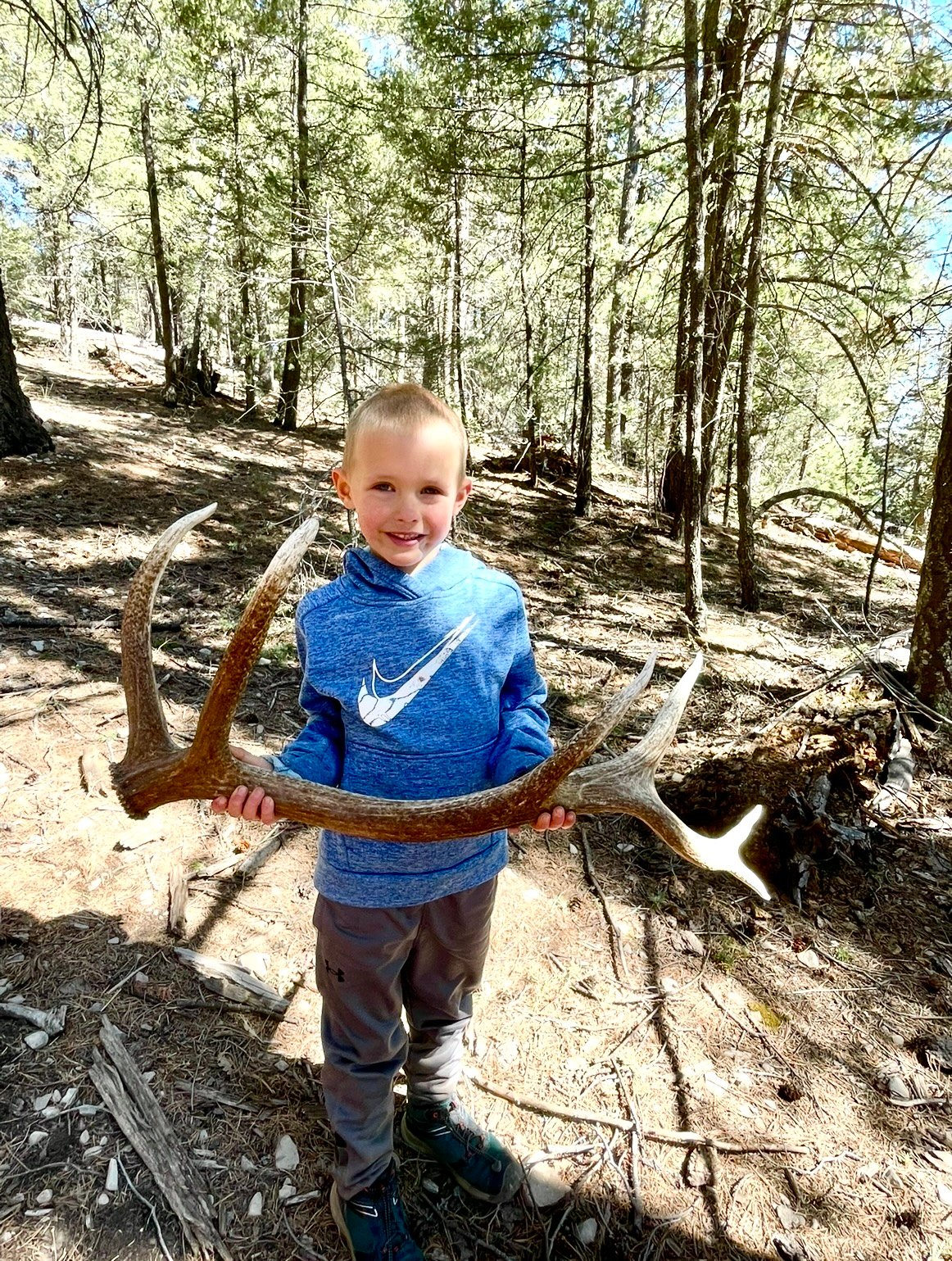 Elk Shed Hunting in New Mexico!