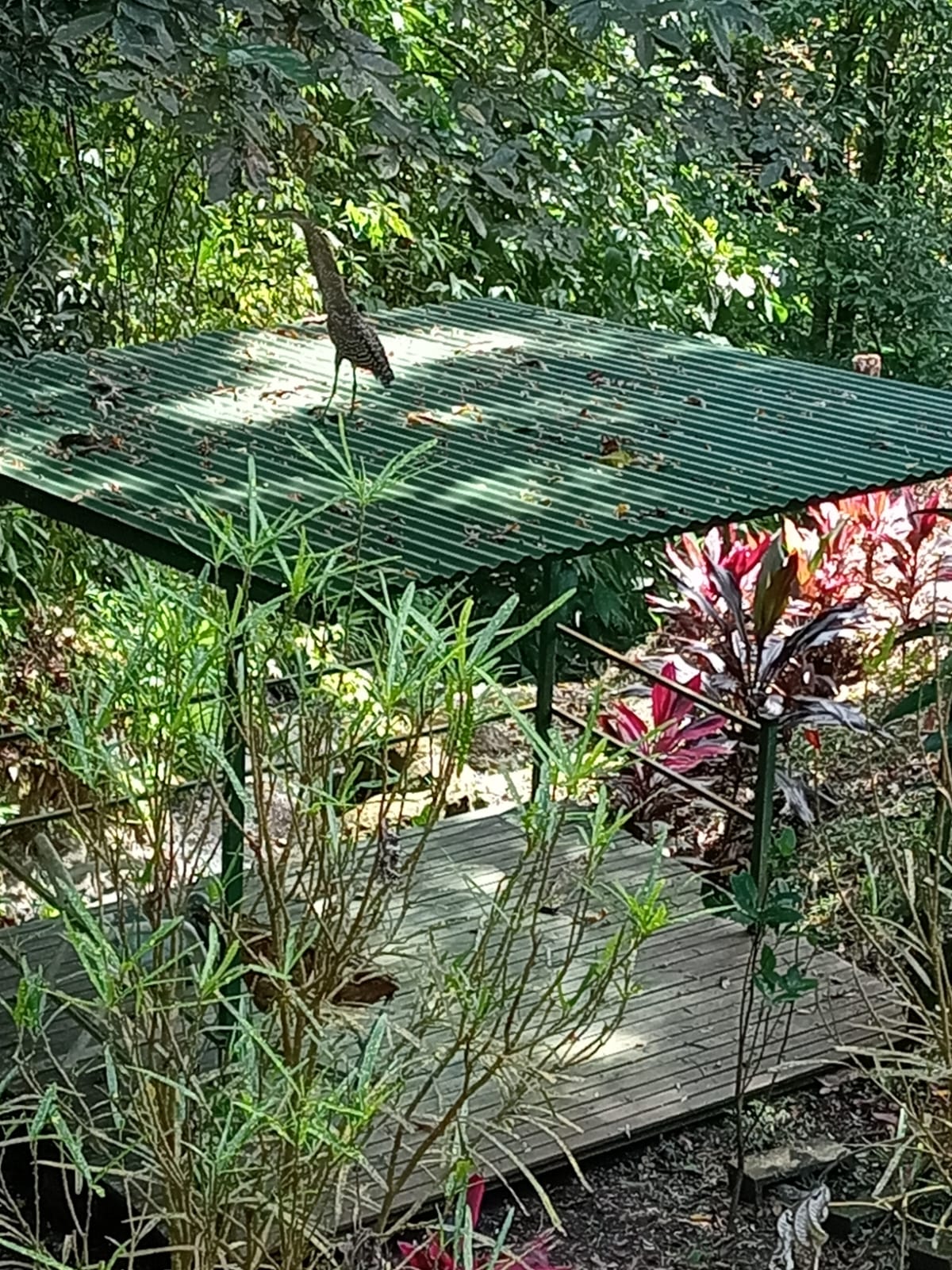 M. A. Ocean View Apt.