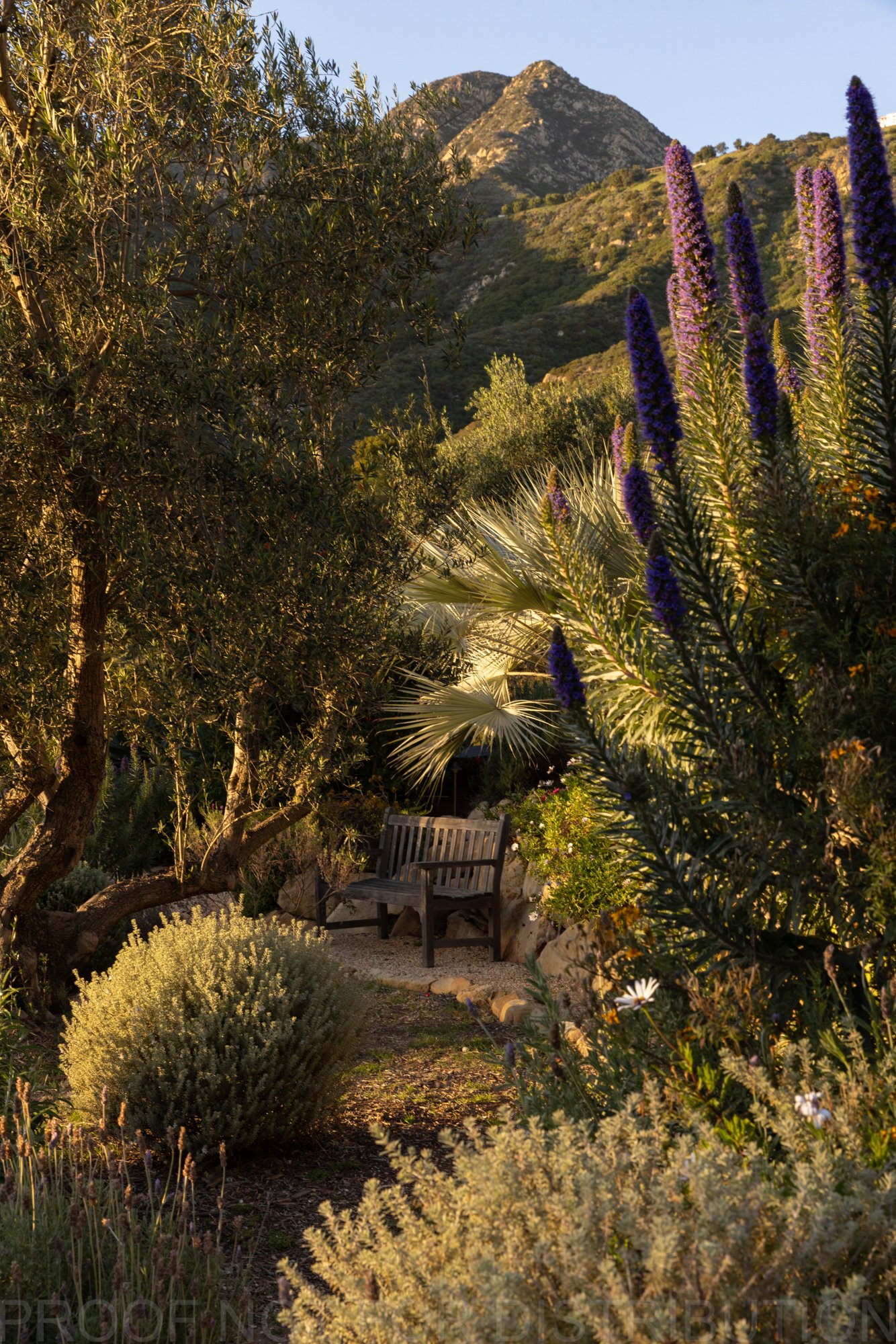 Hidden Valley