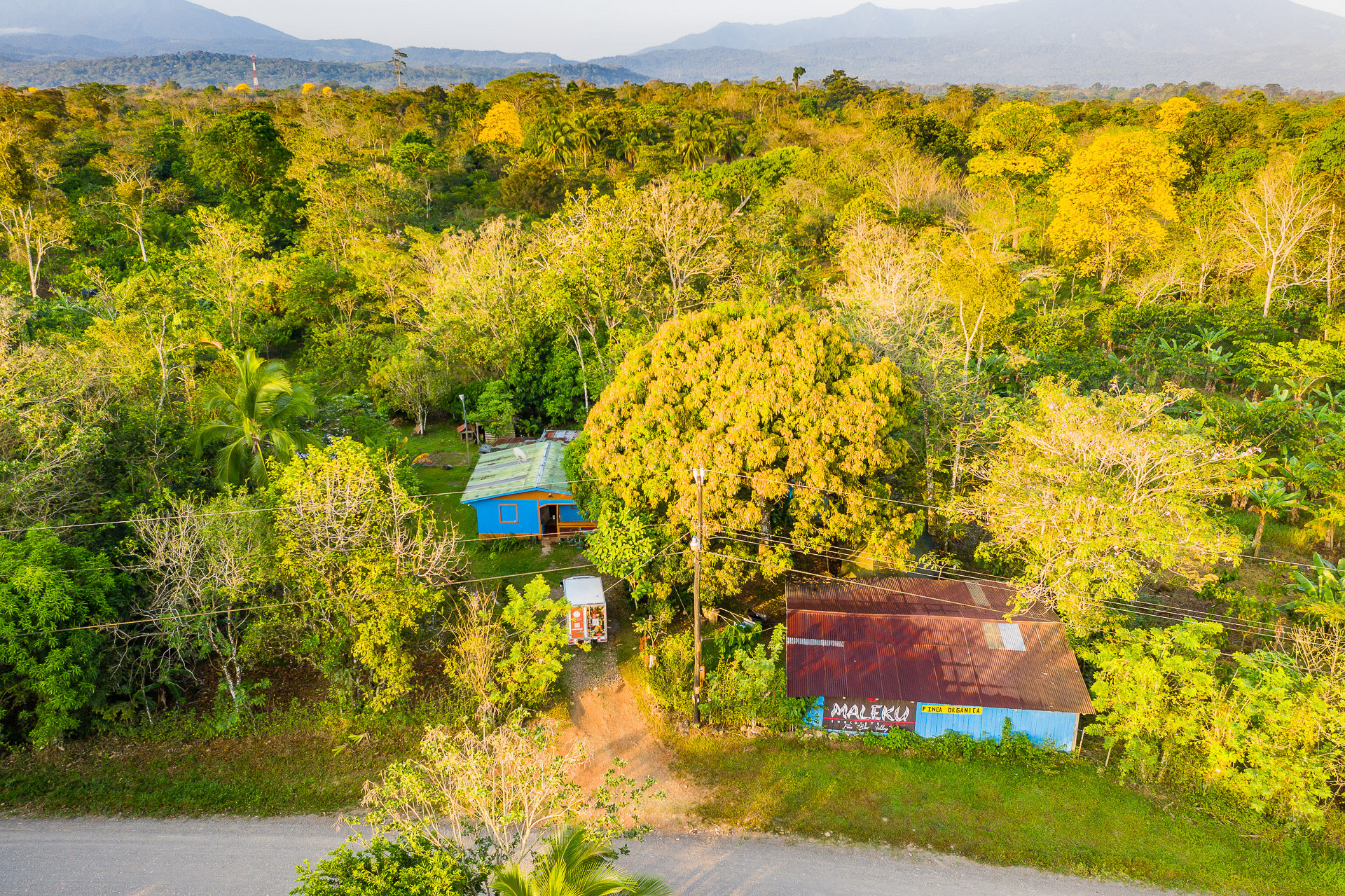 Blue Valley Cacao Farm | High-end gourmet chocolate production.