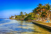 Pine Island