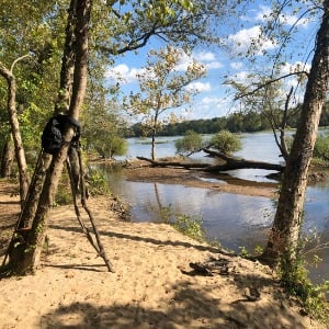 Sandy nature trail beside calm water, framed by trees and fallen logs.