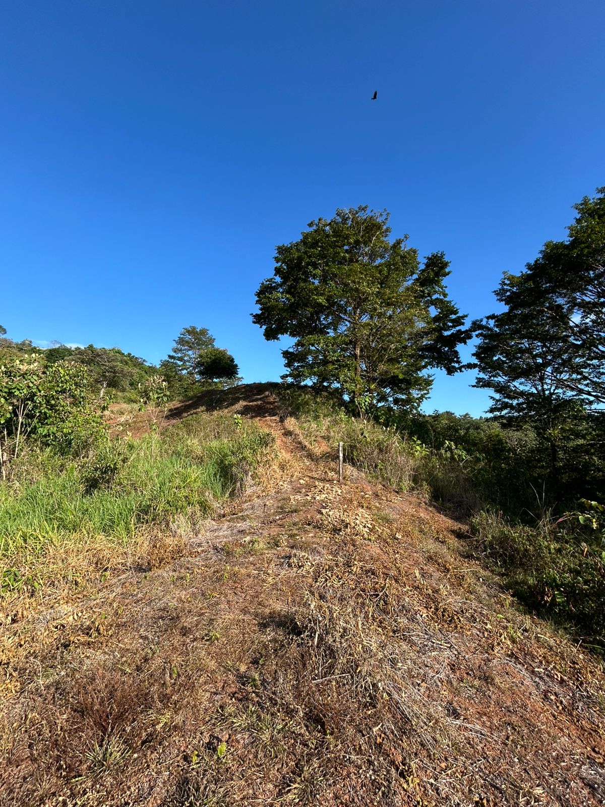 67 acres development (15 titled lots) with breathtaking views in Sierpe
