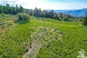 17602 S Wolf Creek Cir