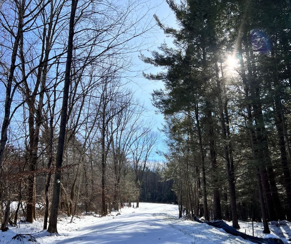 Buying Land In The Berkshires - What You Need To Know | BIRCH Properties Blog
