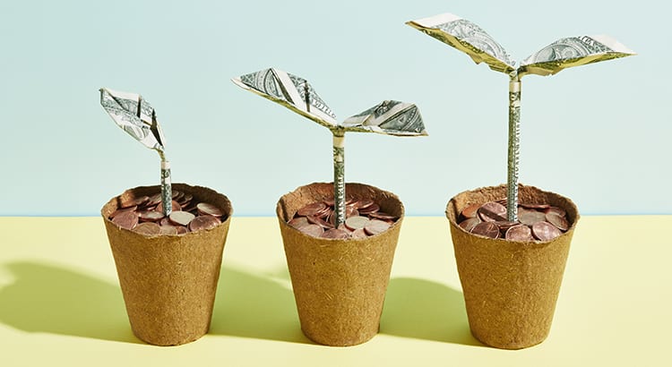 The three small pots with plants made of dollar bills.