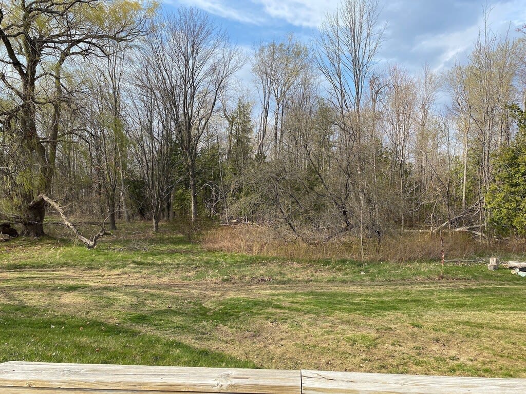  Charming Family and Pet Friendly Leelanau Bungalow!