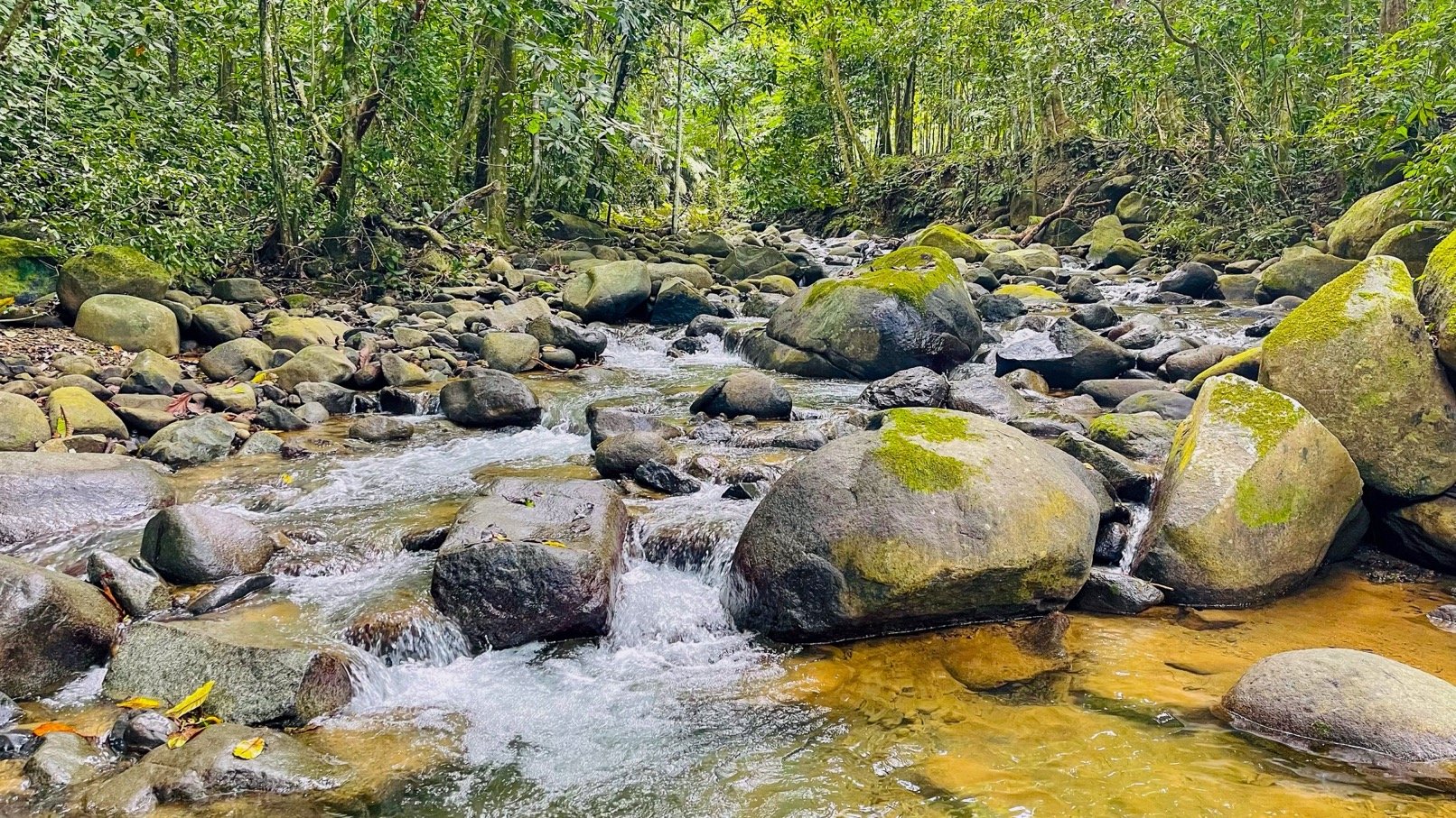 COSTA RICA LAND FOR SALE | LARGE FLAT PRIVATE PROPERTY WITH MOUNTAIN VIEWS, RIVER & FRUIT TREES