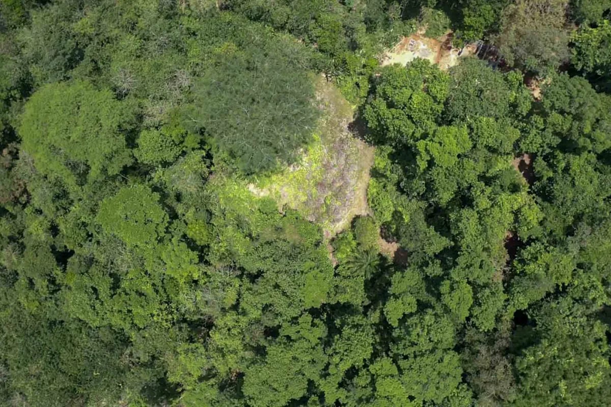 Private 13-Acre Property with Ocean and Mountain Views in San Buenas