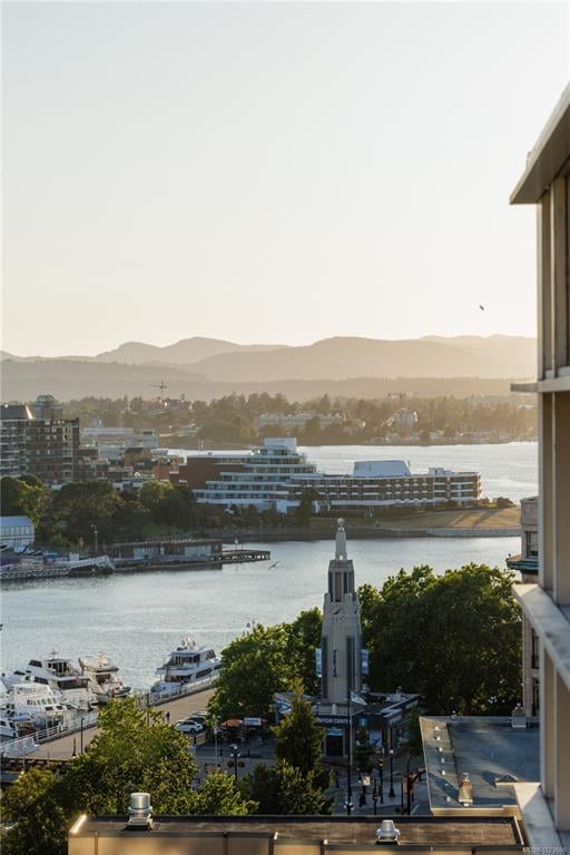 1406 - 707 Courtney St