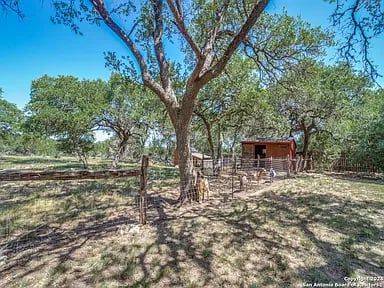 115 Hoskins Trl