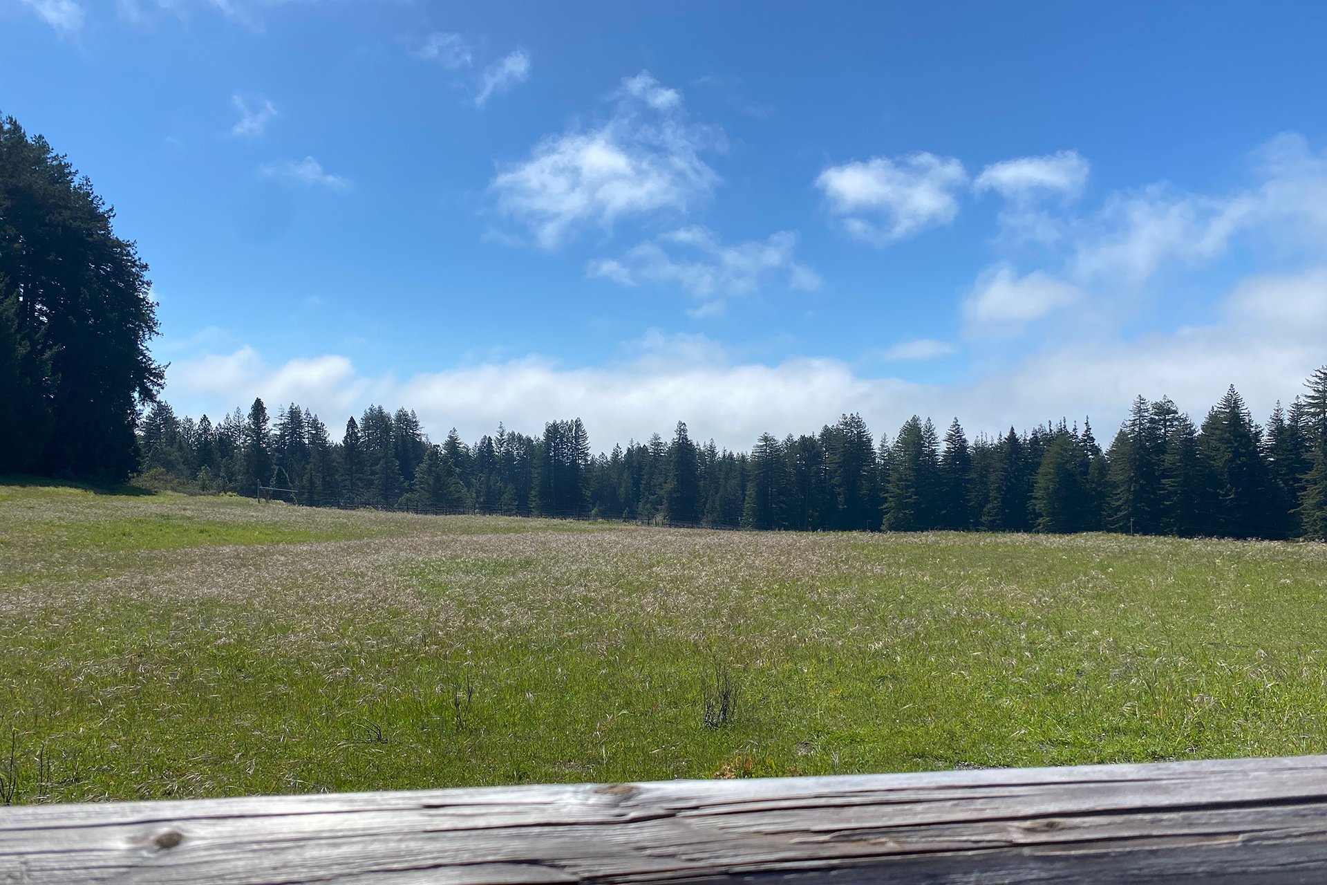 Santa Cruz Vineyard & Horse Property