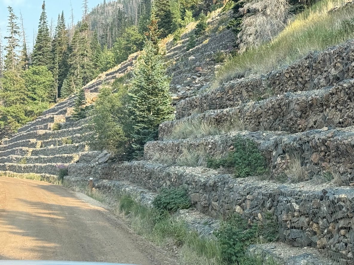 Driving Into the Wild: A Sensory Journey Along Old Fall River Road