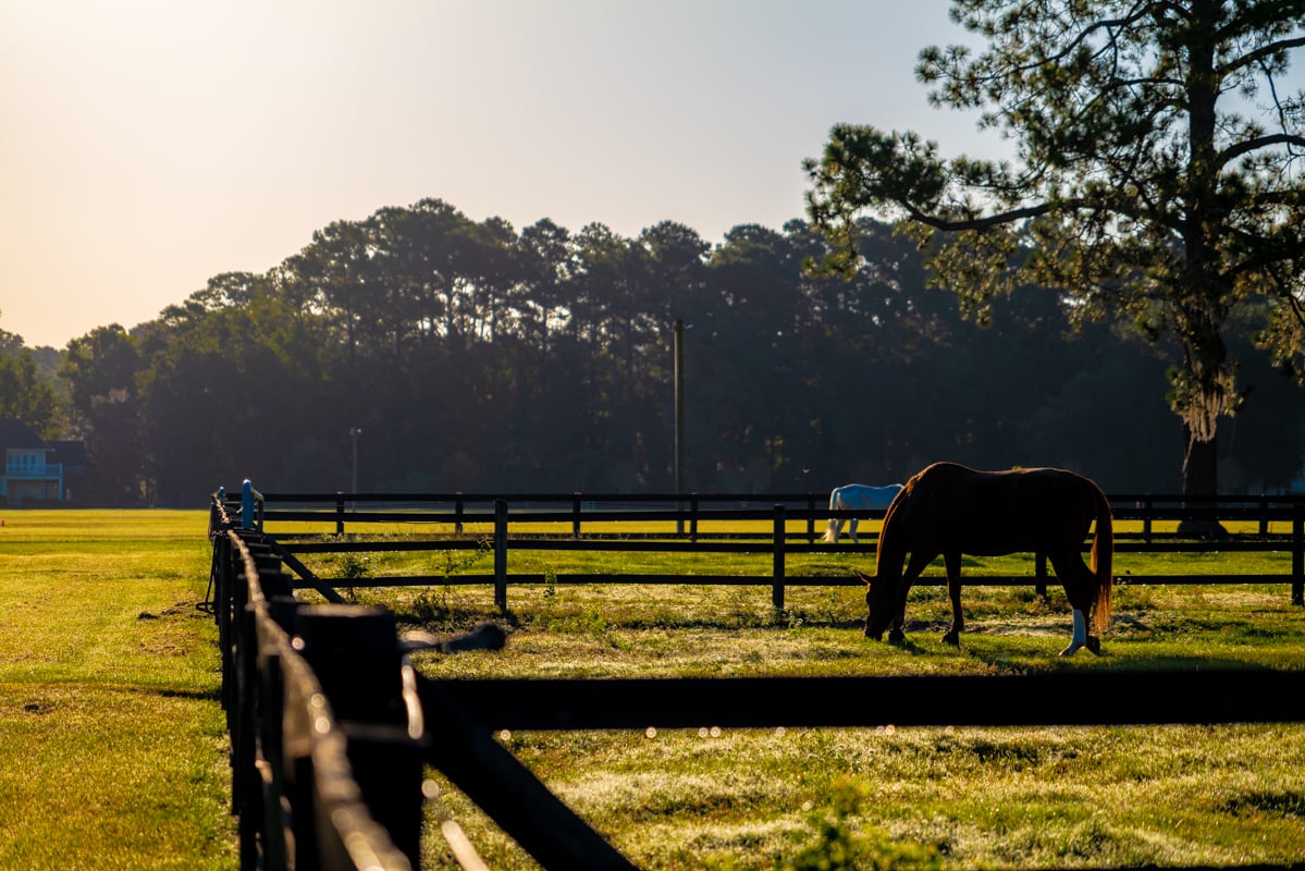 Fun Activities in Rose Hill, SC for All Ages