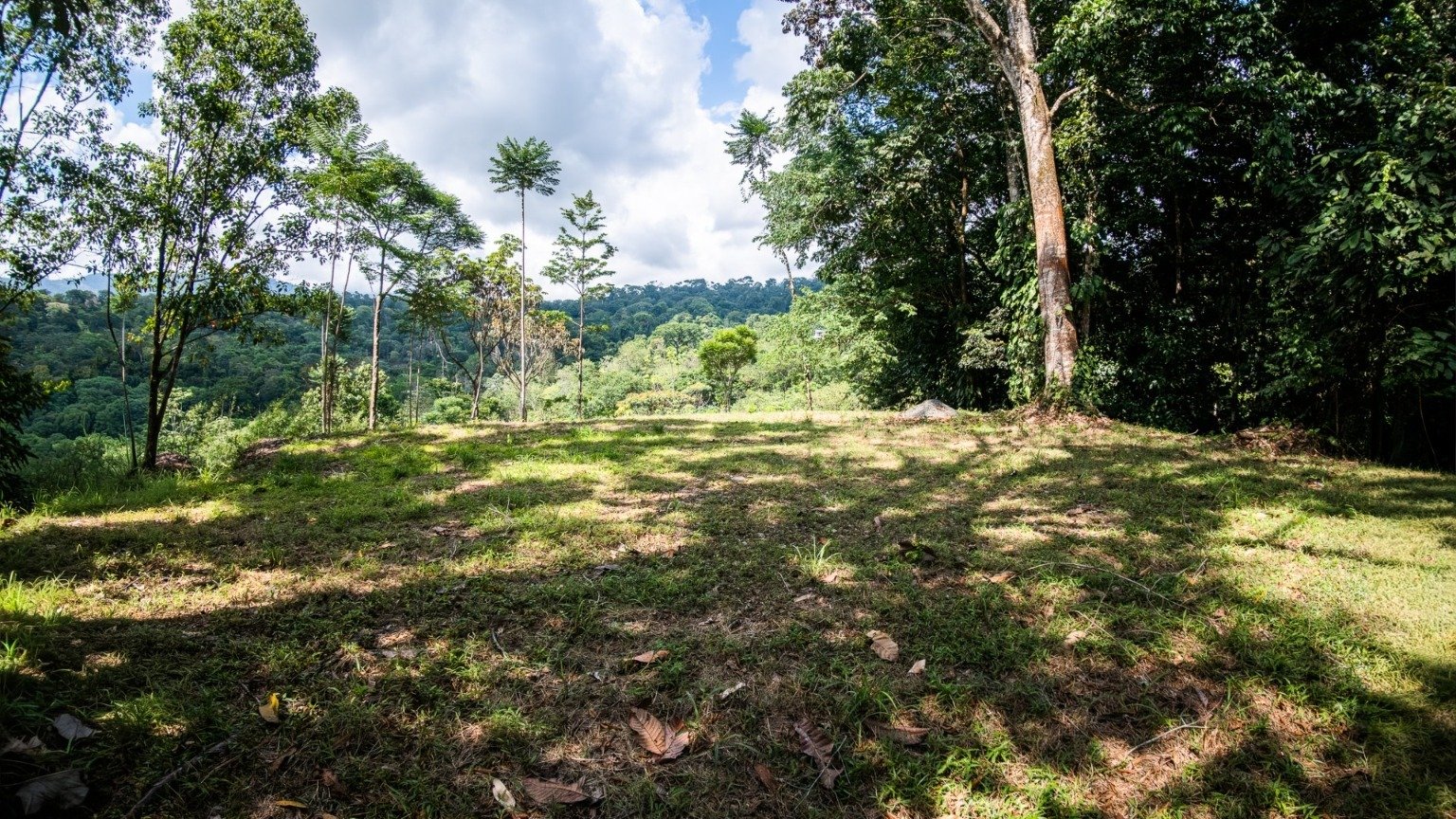 Tropical Sanctuary Above Uvita: 5-Acre Jungle Estate with incredible Mountain Views