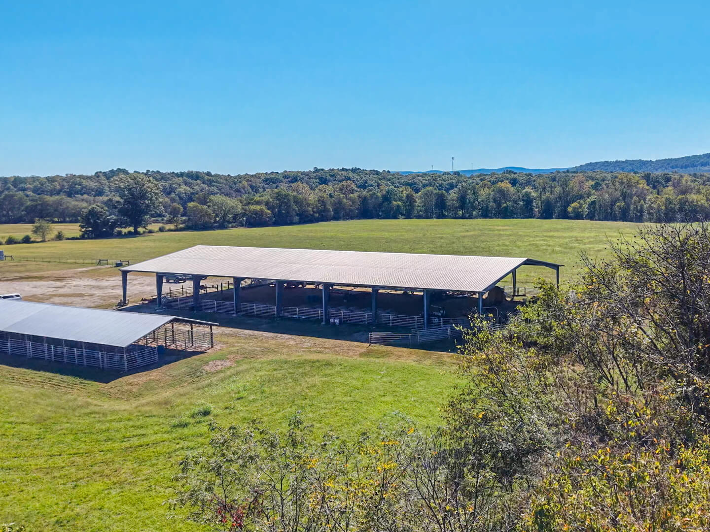 185 Acre Horse and Cattle Ranch