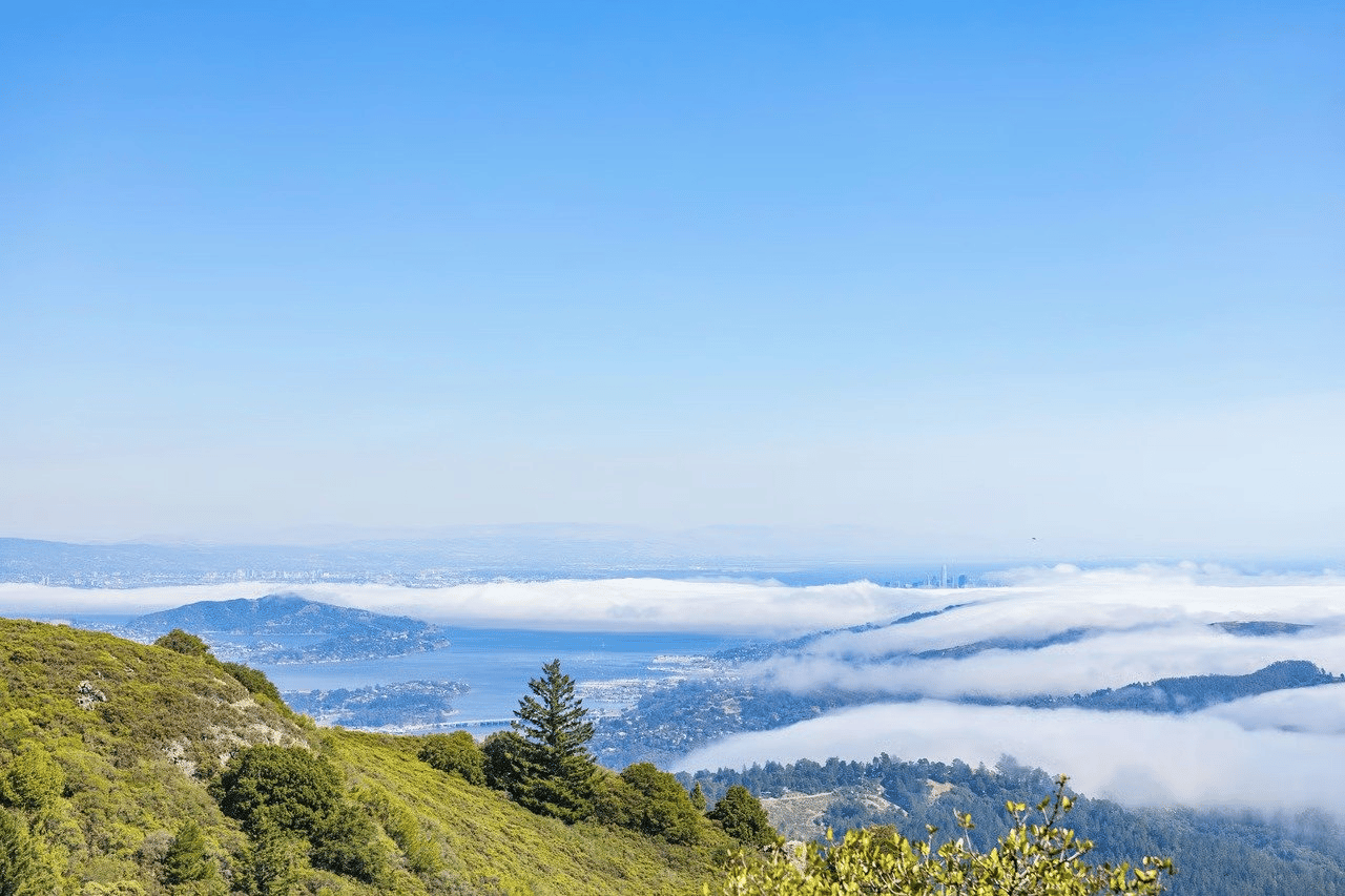 May 2025 Monthly Sales Data