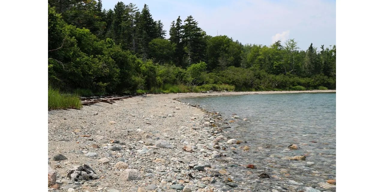 Land for Sale – 00 Loon Cove Lane, Brooklin, ME – $1,900,000
