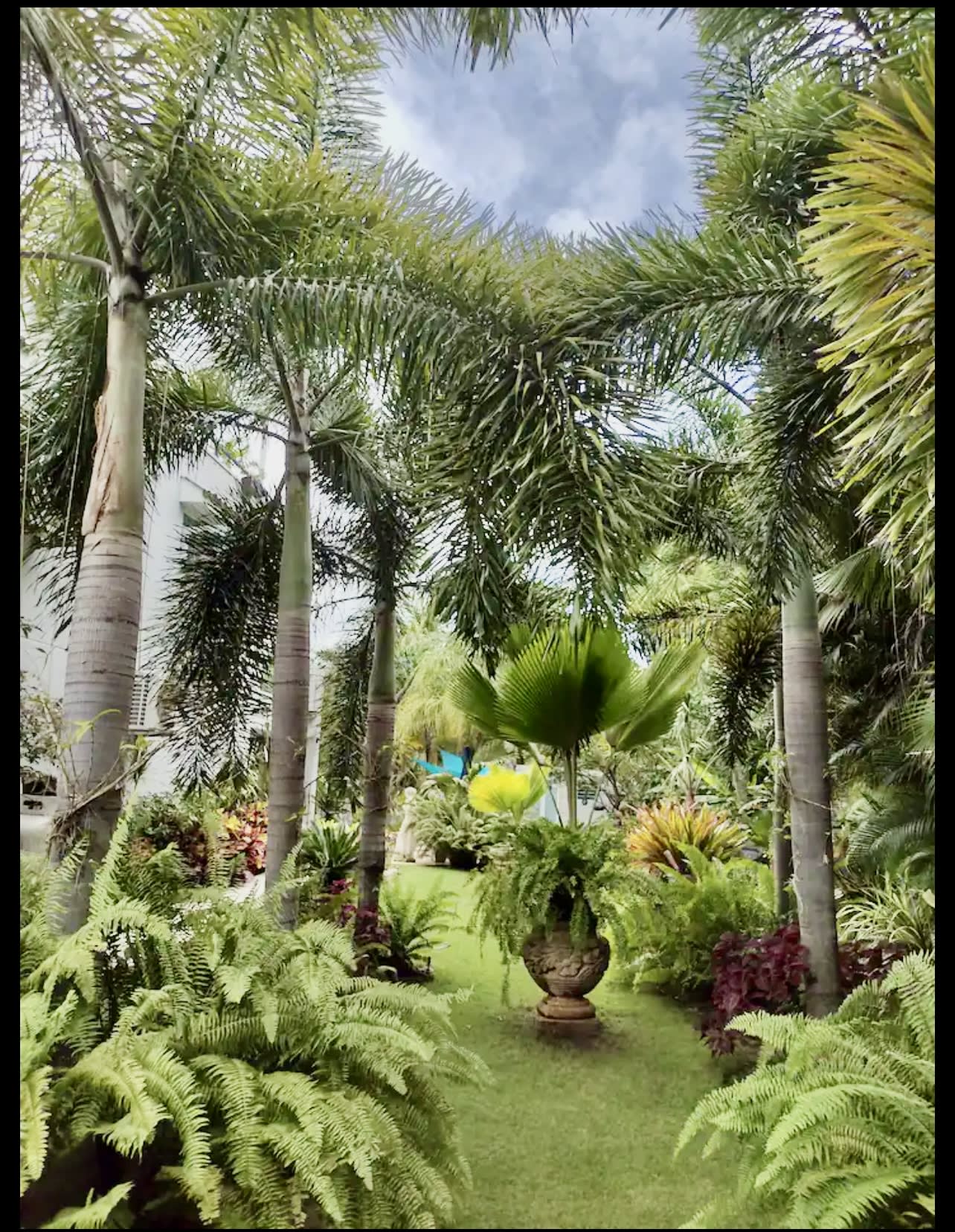 Beaches and walking trails...Cerro Gordo , Vega Alta