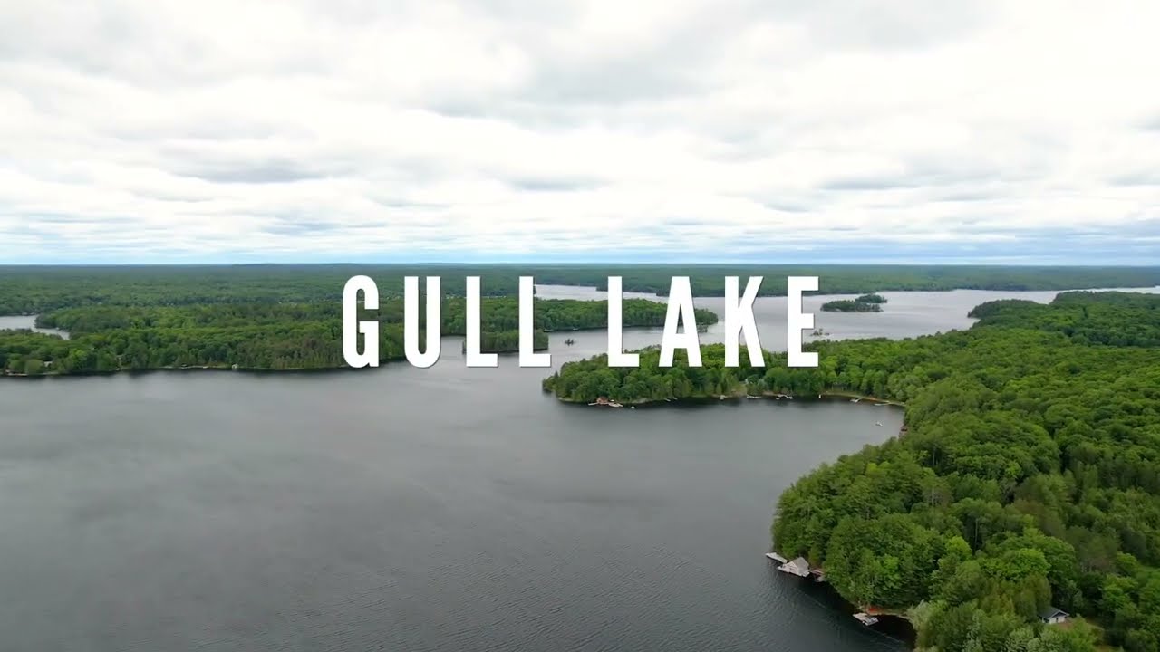 Lots for Sale - Gull Lake