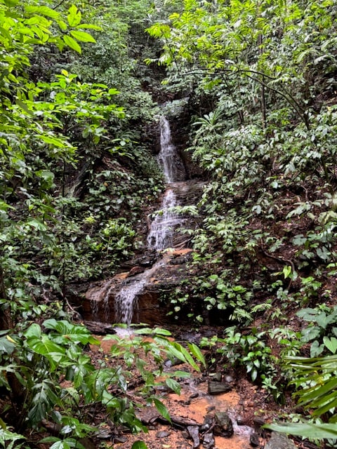 17.85 ACRES – Stunning Large Land With 2 Waterfalls Near Dominical Beach!!!