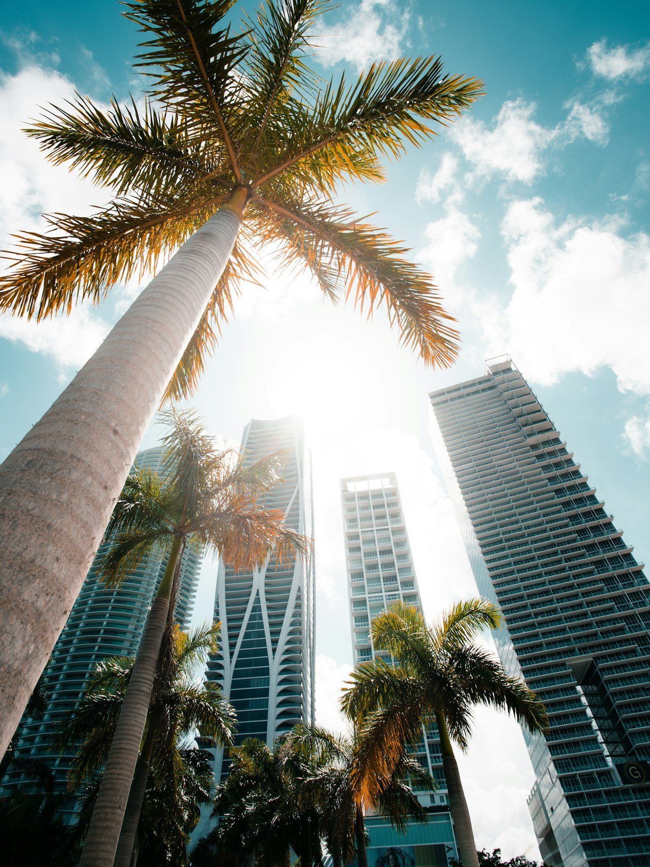 LUXE Top 5: Things To Do: July