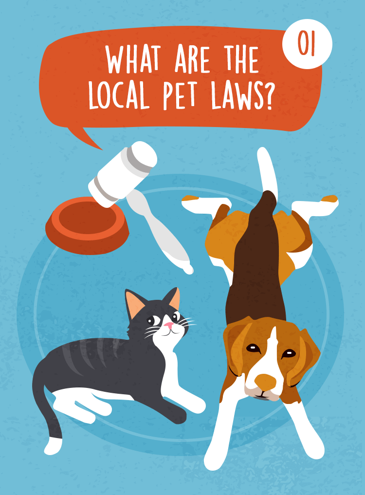 Question 01: What are the local pet laws? Illustrated with a dog and cat beside a food bowl.