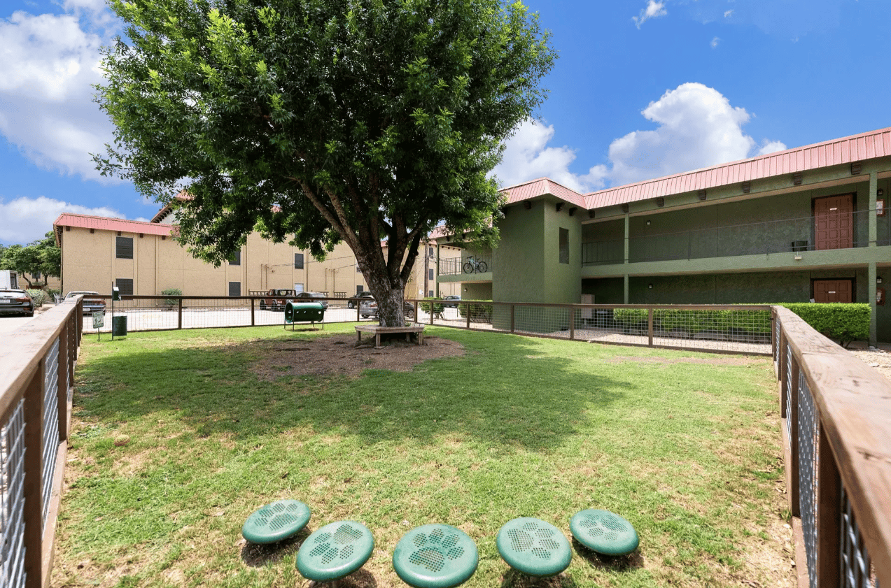 Central Austin Treasure | Burnet Rd. 